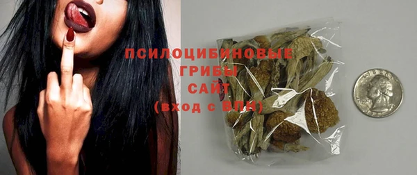 СК Абаза