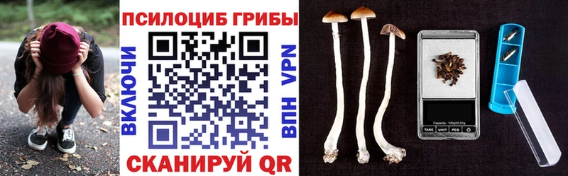 мориарти какой сайт  Камызяк  Галлюциногенные грибы мицелий 