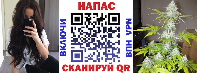 Шишки марихуана MAZAR  Камызяк 